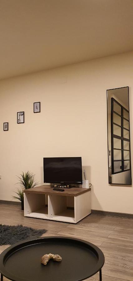 Cbt Apartament 티미쇼아라 외부 사진